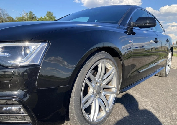 Audi A5 cena 77500 przebieg: 75000, rok produkcji 2016 z Krotoszyn małe 277